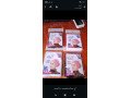mhl-mlabs-gahz-msakn-dhshor-mol-albnfsg-2-aldor-althalth-small-1