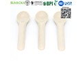 cutlery-disposable-sugarcane-cutlery-bagasse-spoon-small-4