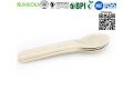 cutlery-disposable-sugarcane-cutlery-bagasse-spoon-small-0