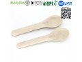 cutlery-disposable-sugarcane-cutlery-bagasse-spoon-small-2