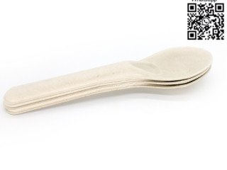 cutlery-disposable-sugarcane-cutlery-bagasse-spoon