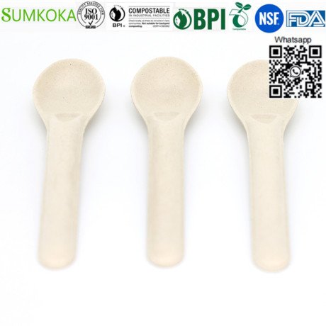 cutlery-disposable-sugarcane-cutlery-bagasse-spoon-big-4