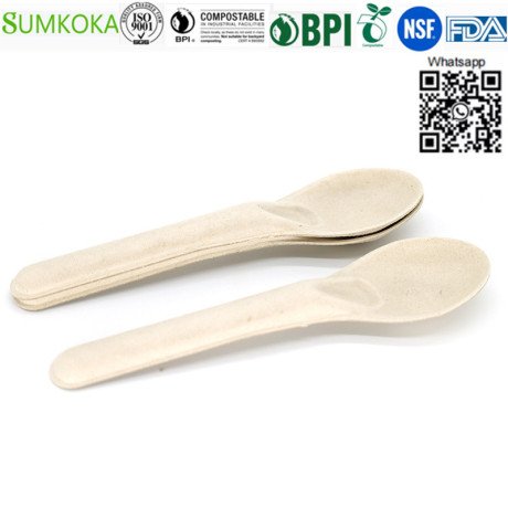 cutlery-disposable-sugarcane-cutlery-bagasse-spoon-big-1