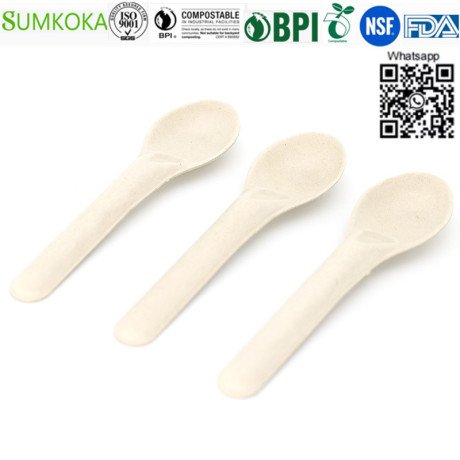 cutlery-disposable-sugarcane-cutlery-bagasse-spoon-big-3