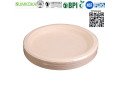 10-inches-plate-disposable-bagasse-plate-sugarcane-dinner-plate-small-0