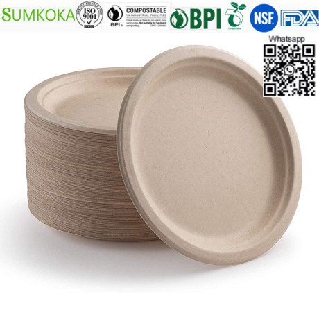 10-inches-plate-disposable-bagasse-plate-sugarcane-dinner-plate-big-3